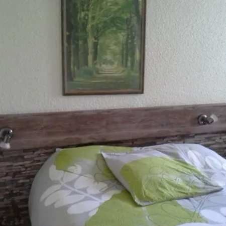 Logis Hotel Come Inn Hotel 2*